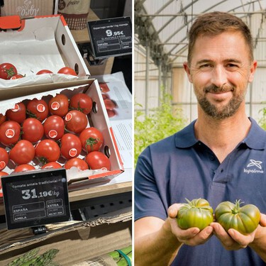 Esta veterana cooperativa de Granada cultiva el mejor tomate del mundo: es de origen japonés y se vende a más de 20 euros el kilo  