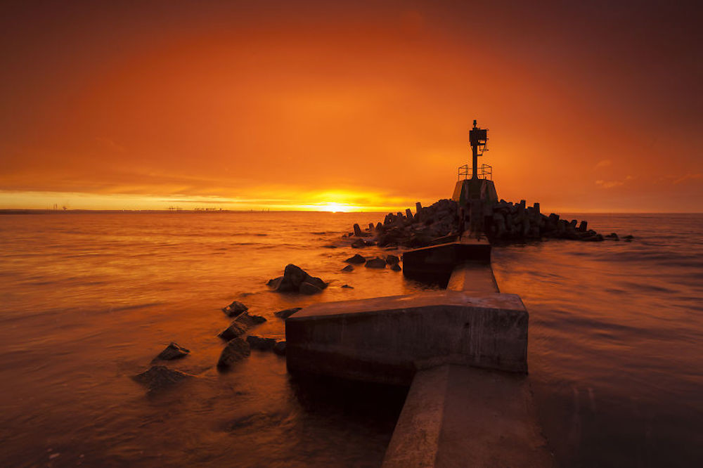 Karol Nienartowicz 11