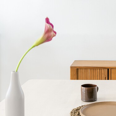 JYSK lanza unas sillas ideales para darle un vuelco al comedor: son baratas y de diseño 