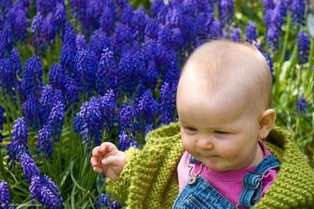 Consejos de seguridad infantil en el jardín