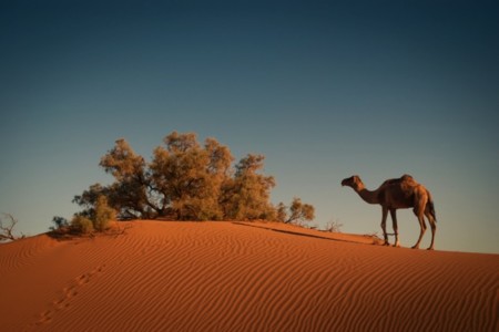 Zagora