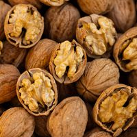 Eating Walnuts for Breakfast Is Good for Your Brain, Even Better Than You Could Ever Imagine 