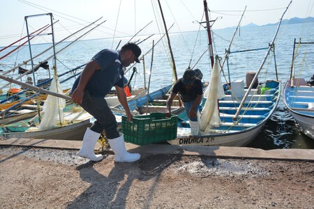 Sinaloa Lleva 10 Anos Esperando Planta Amoniaco Topolobampo Agricultores Ambientalistas Xataka Mexico 2