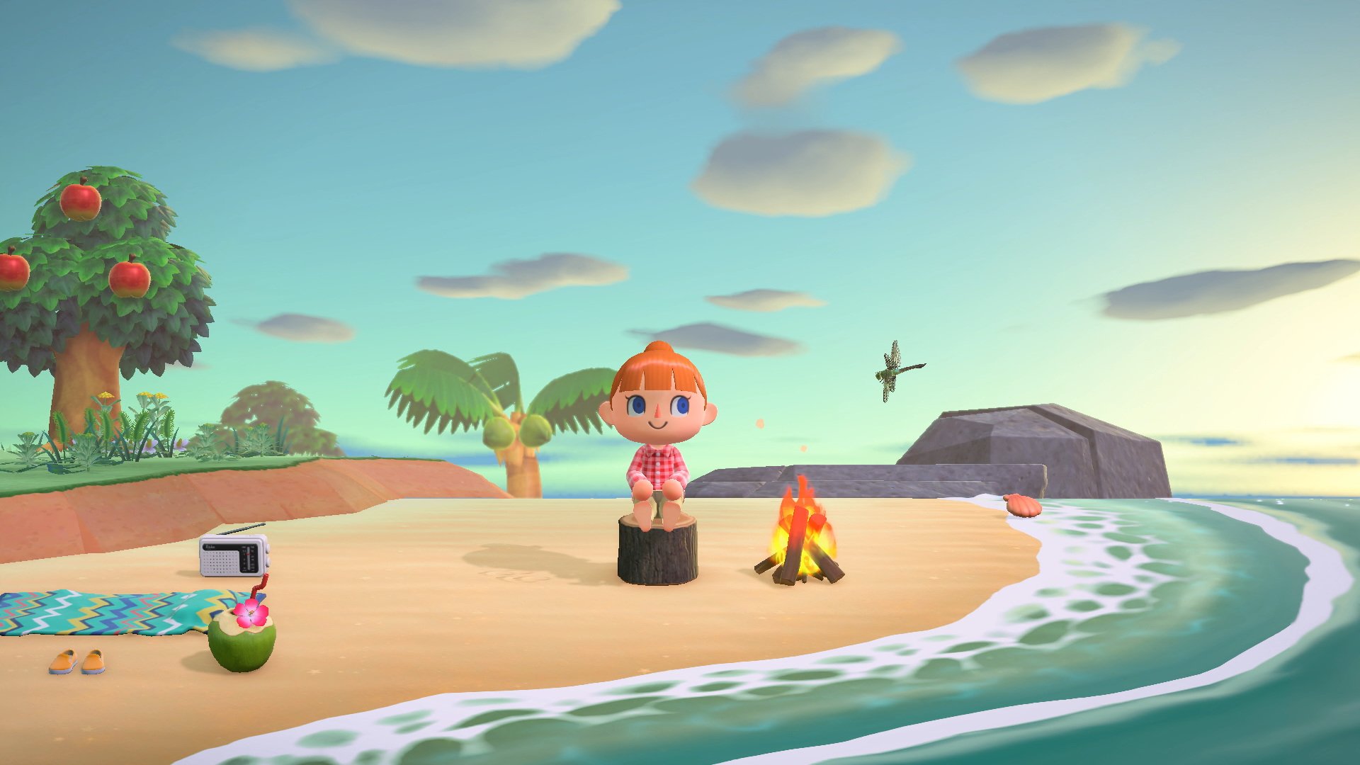 Animal Crossing Switch 4893410