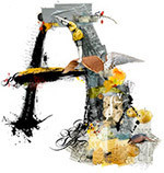 Desinstalando Adobe Photoshop CS3 Beta