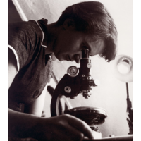 O cientista que perdeu o Nobel por falas racistas também roubou Rosalind Franklin, a verdadeira autora da descoberta do DNA 