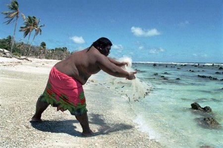 Nuevos tratamientos contra la obesidad y la diabetes gracias al gen TRIP-Br2