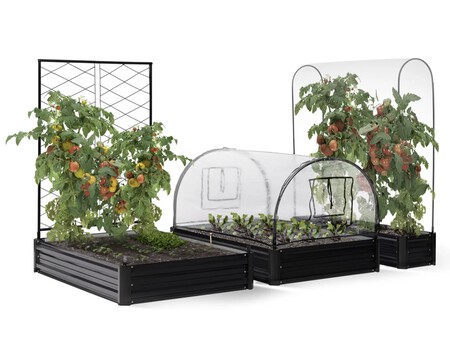 Tomates