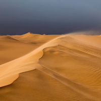 O mundo virou de cabeça para baixo: enquanto a Amazônia seca, o aquecimento global está prestes a transformar o Saara em uma floresta 