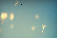 Las motos de mis sueños: ante todo, agresividad europea