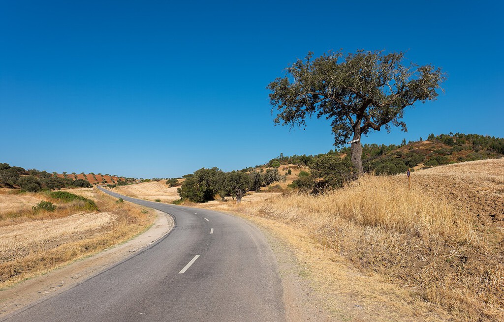 La ruta en coche más larga del planeta sin pisar costa tiene 14.043 kilómetros y se encuentra en un continente inesperado
