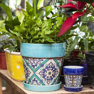 Lidl lanza el lunes el set de soportes decorativos ideales para elevar tus plantas en la terraza: son baratos y de estilo industrial 