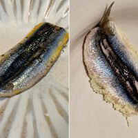 Los chefs expertos en pescado coinciden sobre cómo cocinar boquerones: “La anchoa se cocina solo por un lado”