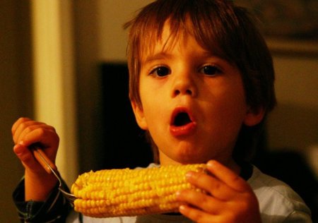 ¿Es bueno camuflar las verduras a los niños?