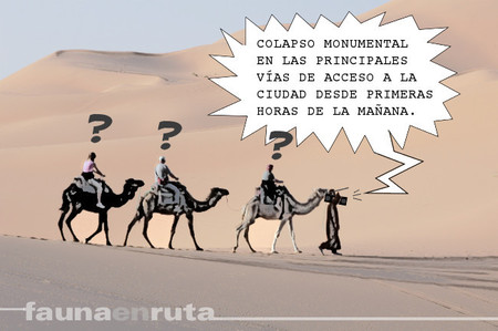 fauna en ruta: boletín informativo