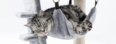 El mejor rascador para gatos | ¿Cuál comprar? Consejos y recomendaciones