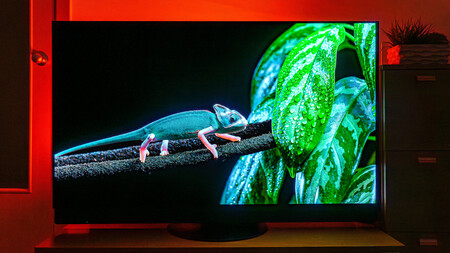 Panasonic Z95b Imagen 5