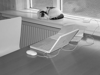 Webmaster y bloggers: empresarios en internet (II)