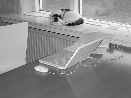 Webmaster y bloggers: empresarios en internet (II)