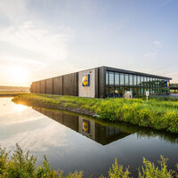 Aterrizan en Lidl las plantas con flor fáciles de cuidar que alegrarán este otoño tu salón o el balcón
