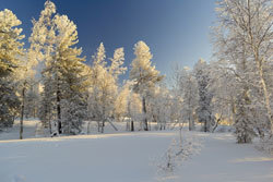 Siberia
