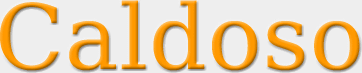 logocaldoso.gif