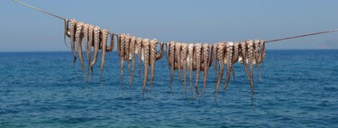O Reino Unido vive uma invasão sem precedentes: em seis meses, foram capturados mais polvos do que toda a frota galega captura em dois anos 