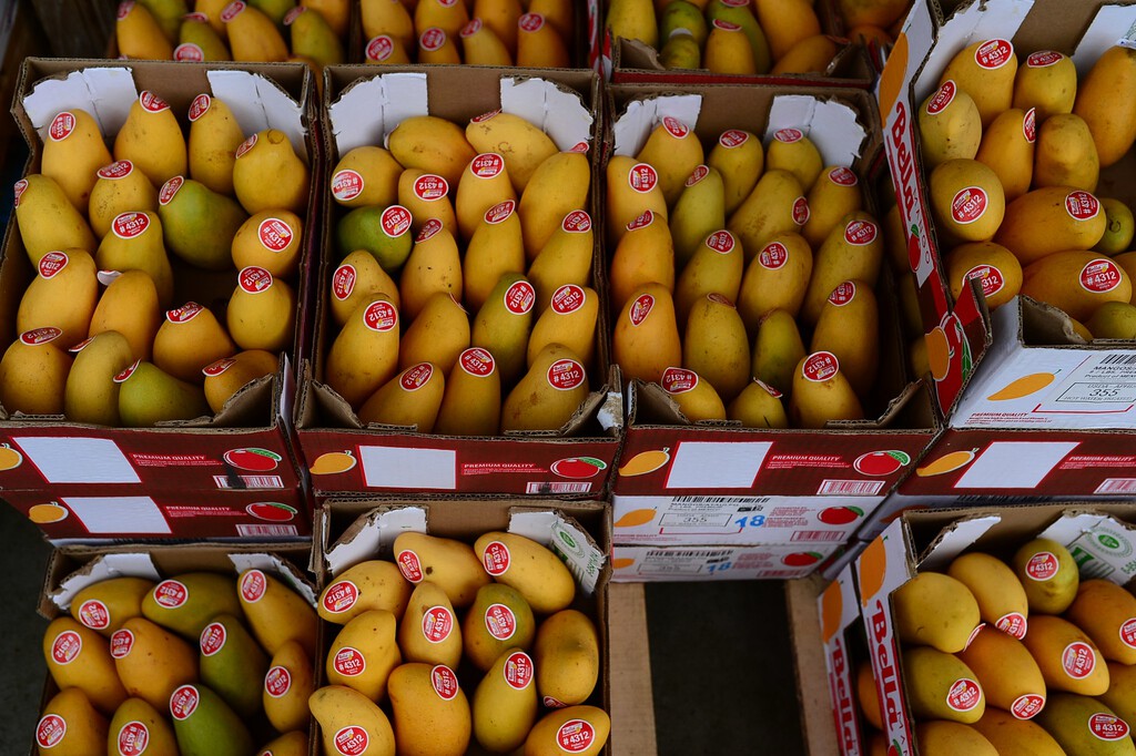 España se ha convertido en la gran huerta europea de frutas tropicales. Y eso le ha llevado a un récord peculiar: el del mango