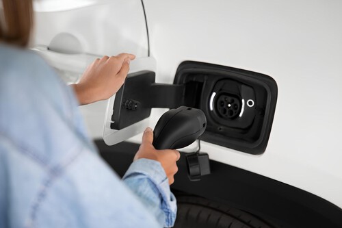 Flotas Electrificadas 5