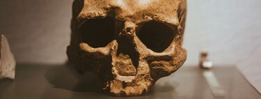 O crânio que muda tudo: um fóssil de um milhão de anos sugere que o Homo sapiens não se originou na África 