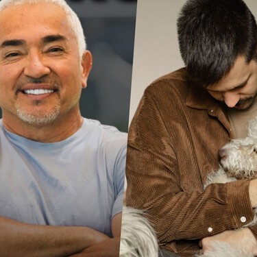 César Millán, experto en adiestramiento canino: "La gente cree que los perros sólo perciben amor pero también pueden sentir tristeza" 