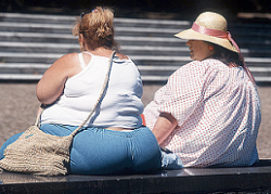 La obesidad, ¿enfermedad contagiosa?