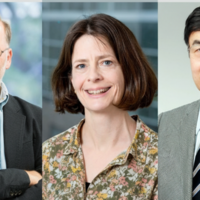 Un Nobel con 30 años de historia: el "gen pacificador" que controla nuestras defensas es el Nobel de Medicina 2025