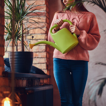Tres errores habituales al regar plantas en invierno y cómo evitarlos 