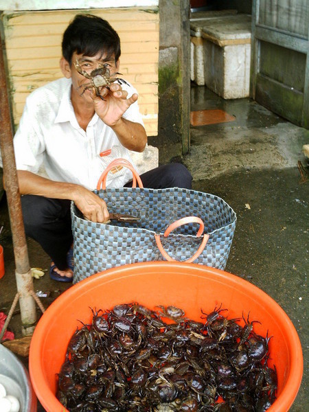 mercado vinh long