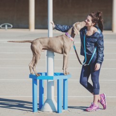 Foto 6 de 9 de la galería brott-barcelona en Trendencias Lifestyle