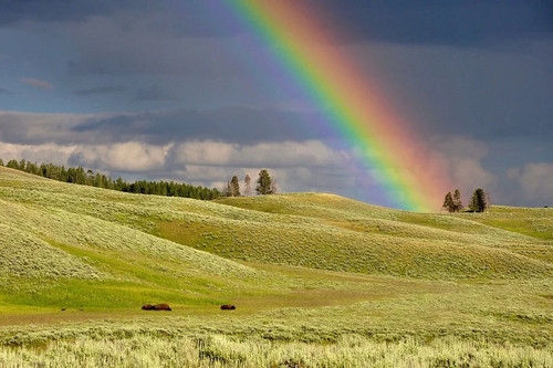 Volverá a salir el sol para las empresas y los autónomos