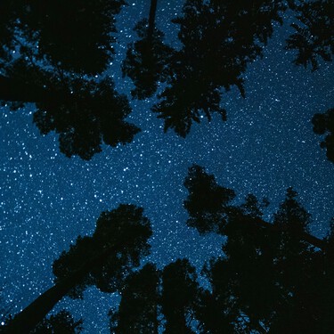 La clave para ver bien las Perseidas está en el modo luz roja que esconde tu móvil y no lo sabías
