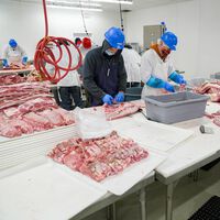 400 falsos autónomos, una empresa de embutidos y doce millones de euros de indemnización  