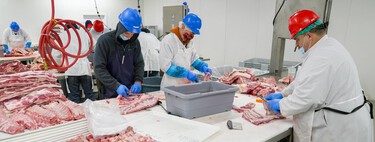 400 falsos autónomos, una empresa de embutidos y doce millones de euros de indemnización  