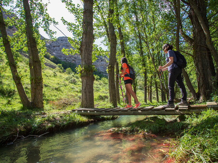 Senderismo En Villarroya De Los Pinares