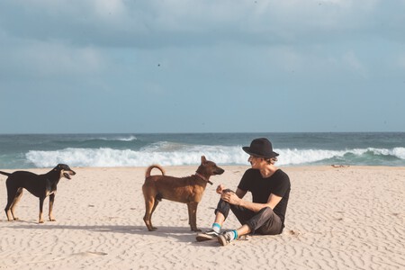 perros-playa-costa