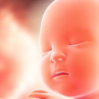 Arteria umbilical única: cómo afecta al embarazo y al bebé