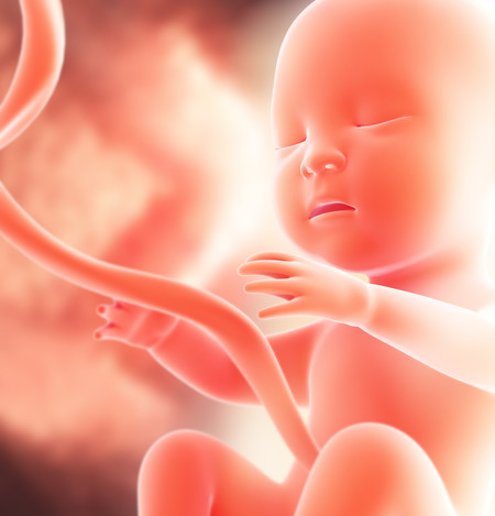 Arteria umbilical única: cómo afecta al embarazo y al bebé