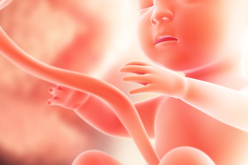 Arteria umbilical única: cómo afecta al embarazo y al bebé