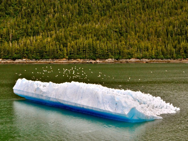 Agua Dulce Iceberg