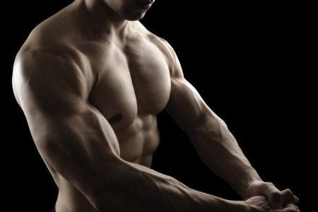 Proteínas e hipertrofia. Lo que dice la ciencia (III)