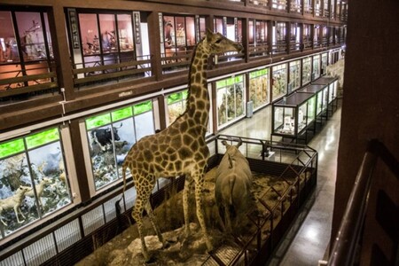 Museo Ciencias Naturales Onda