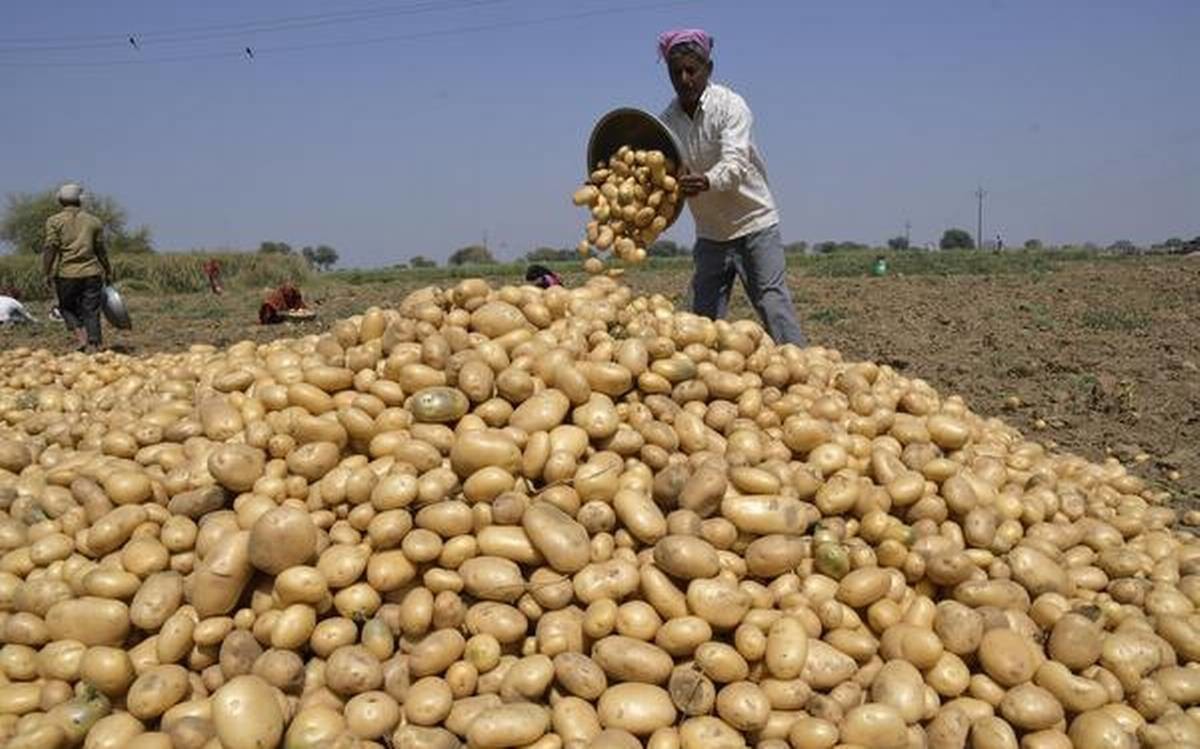 Patatas
