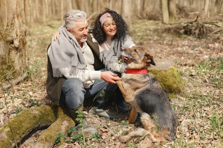Disfunción cognitiva canina recomendaciones